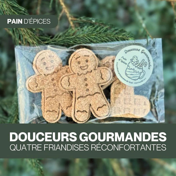 Douceurs Gourmandes au Pain d'Épices  CZH
