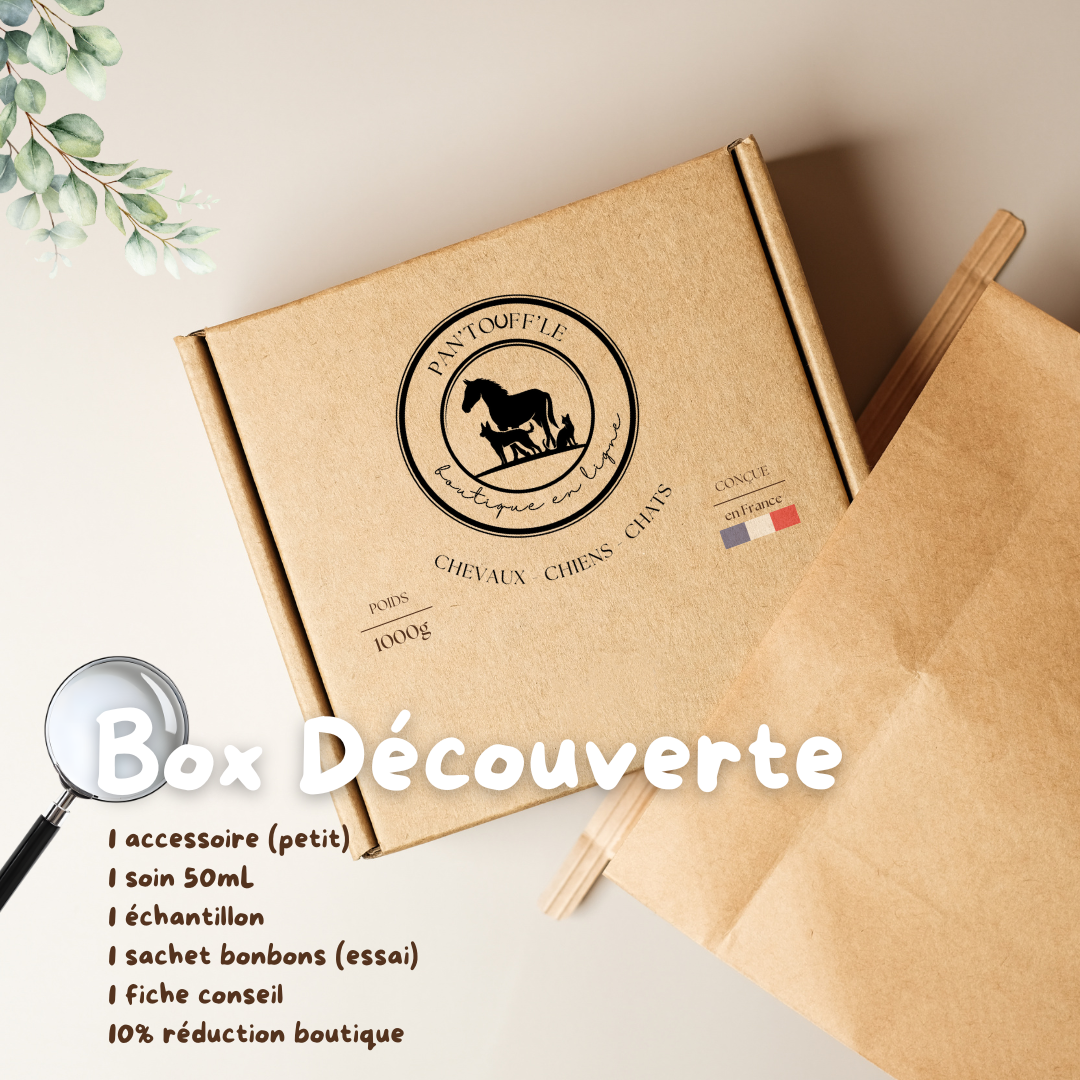 Box Découverte CHAT
