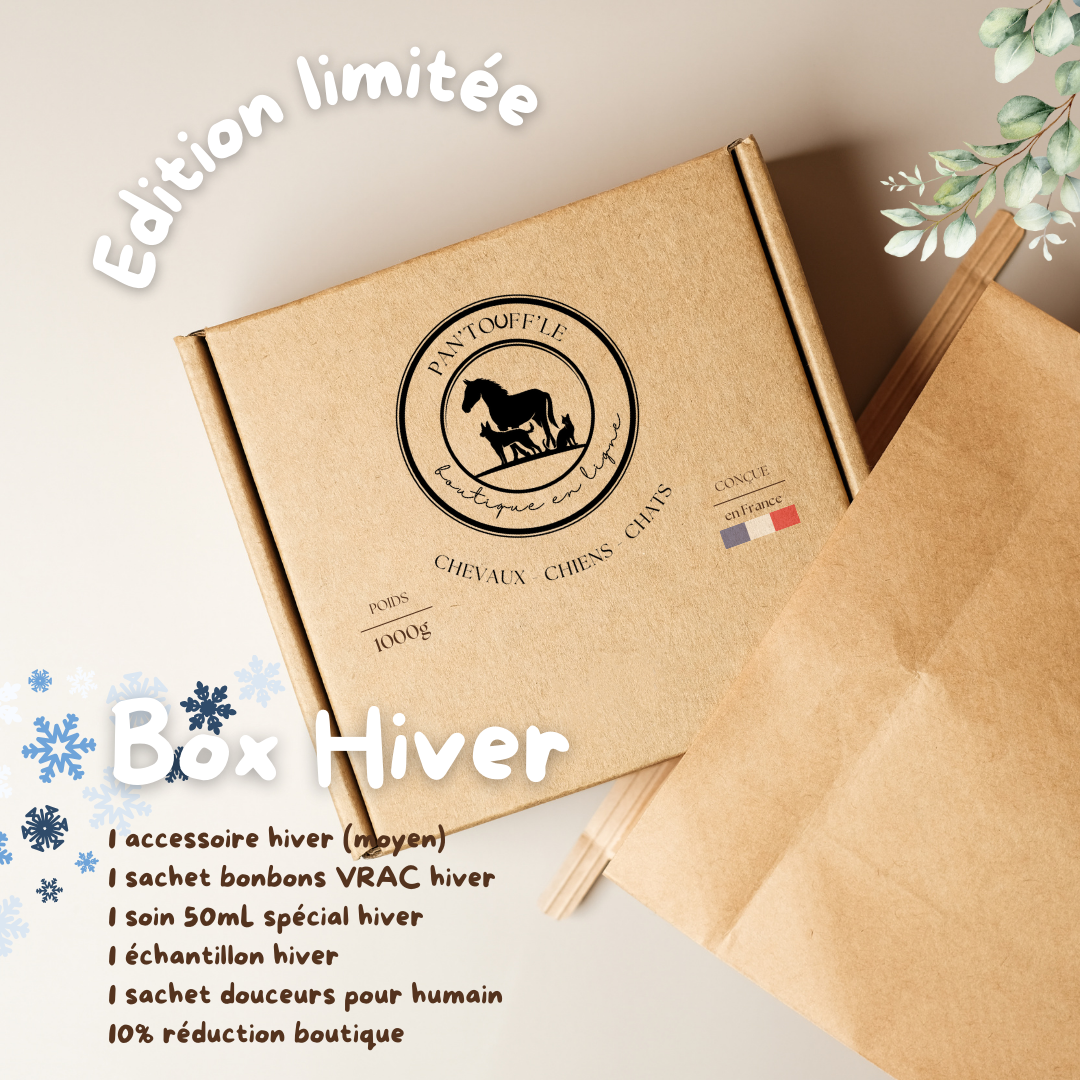BOX HIVER CHIEN & CHAT