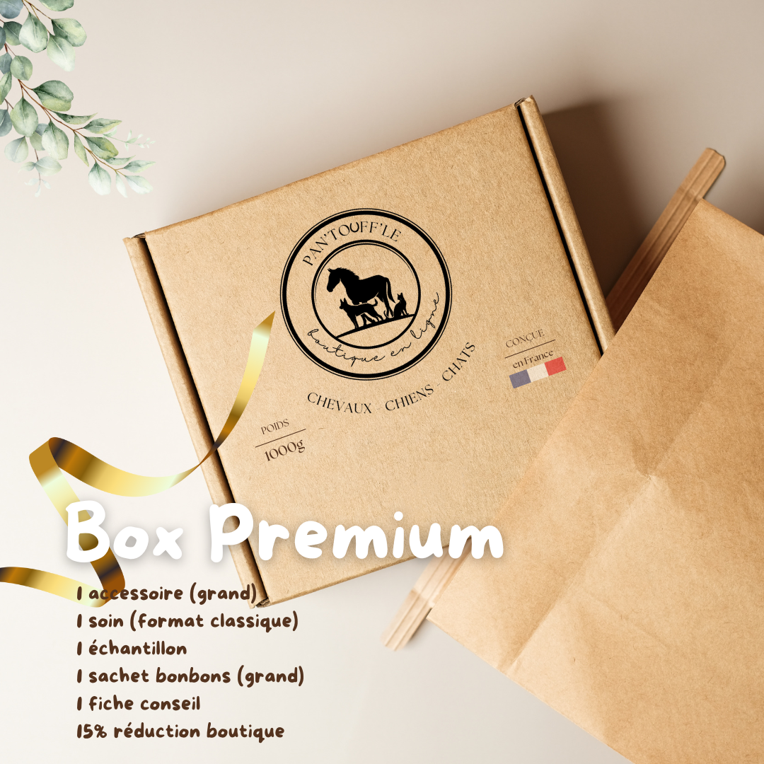 Box Premium CHAT
