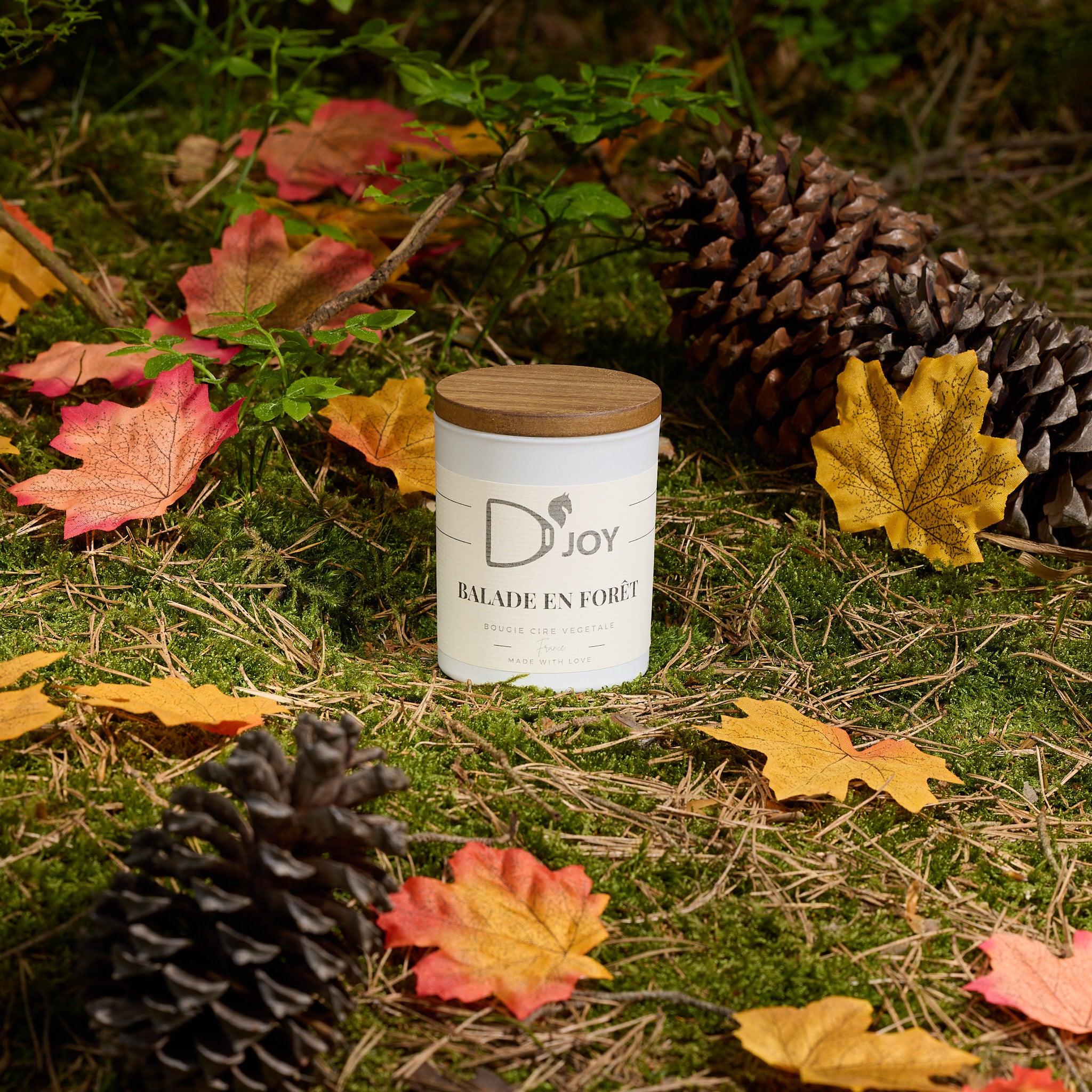Bougie DJOY balade en foret MINI